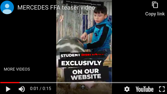 Video: Mercedes FFA student prep for Stock Show