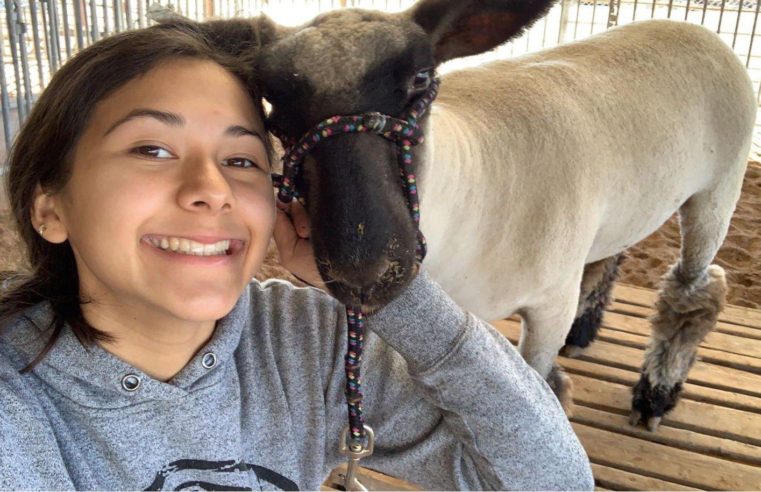 Q & A with Abby Zamora, RGVLS participant