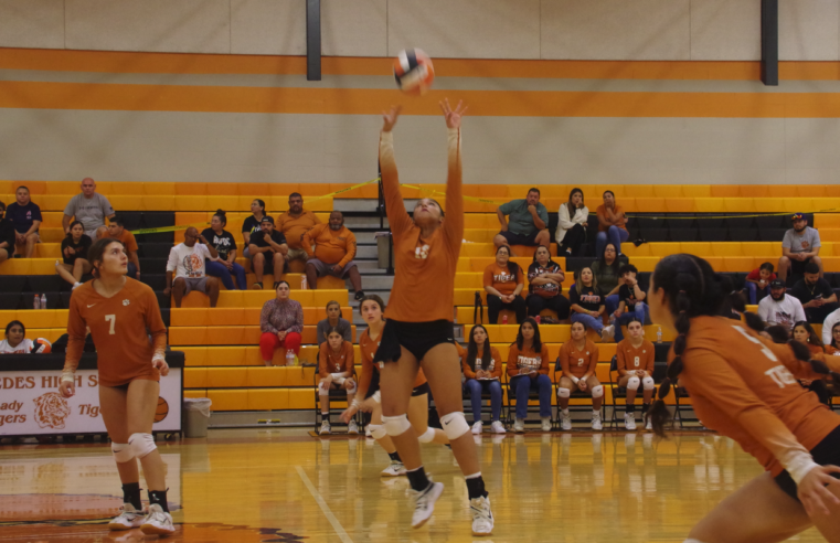 Meet Jayda Luna, Mercedes High Volleyball Player of the Week Q&A