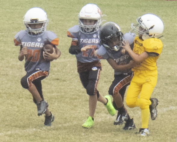 TYFA Tigers ranked No. 1 