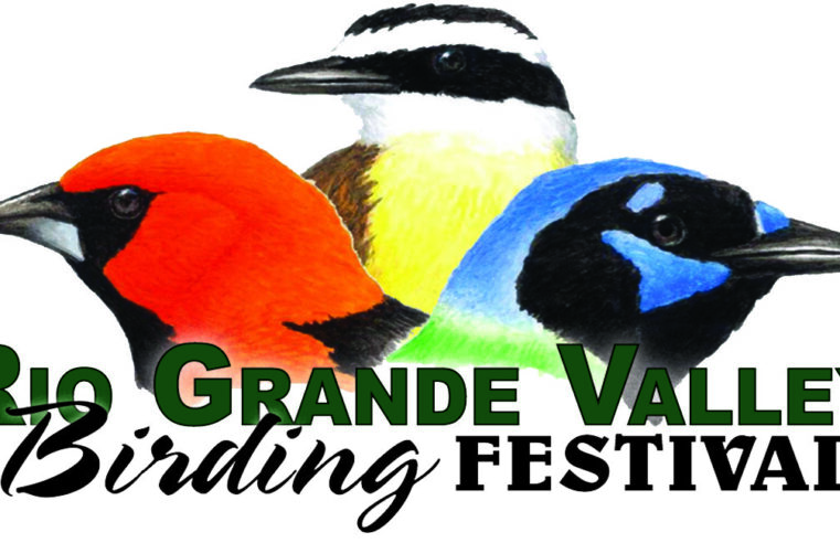 Birding Festival is back, read for details