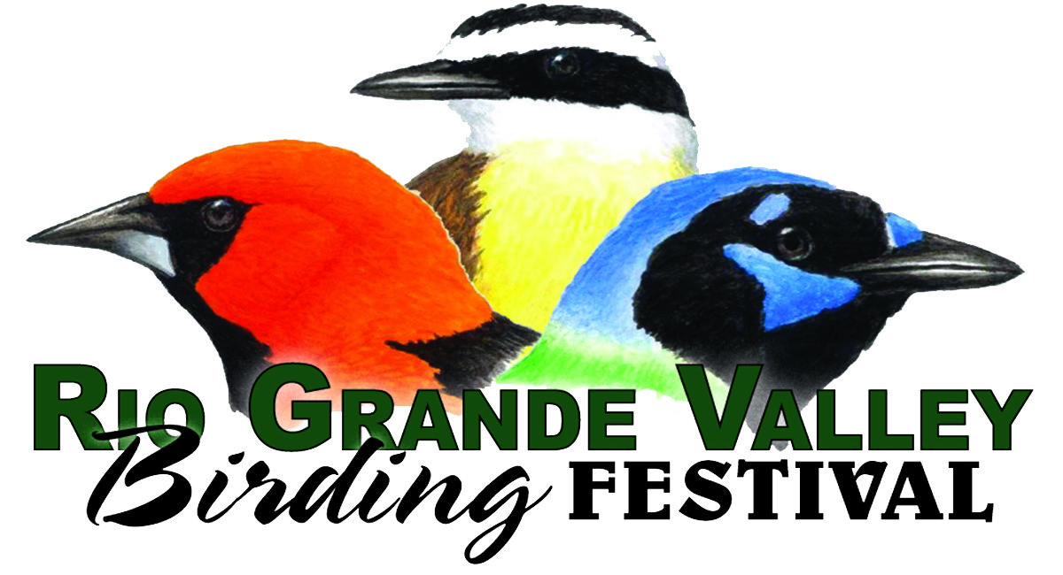 Birding Festival is back, read for details