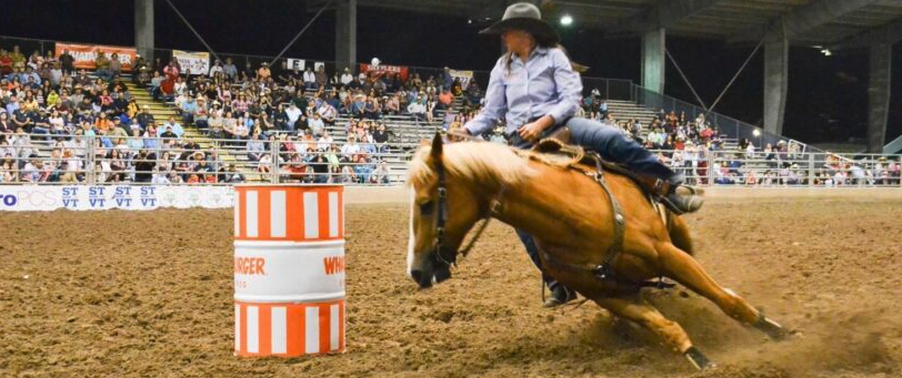 RGV Livestock Show Making Venue Improvements